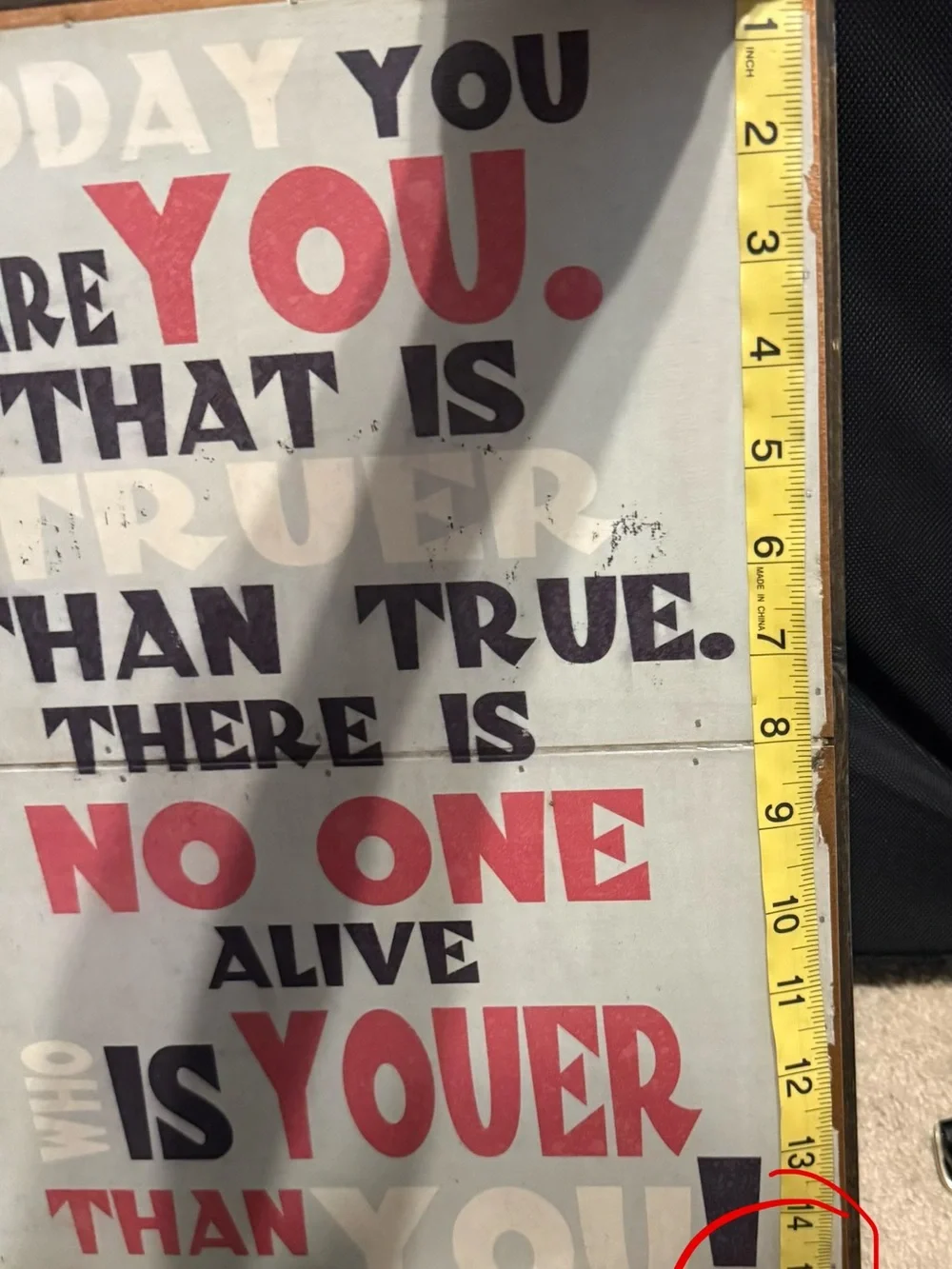 Vintage Style Dr. Seuss “Today You Are You” Wood & Metal Wall Sign 12 x 16